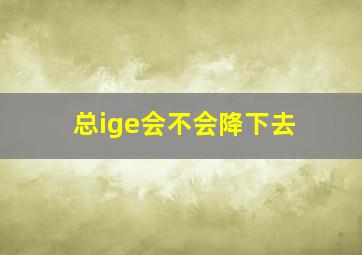 总ige会不会降下去