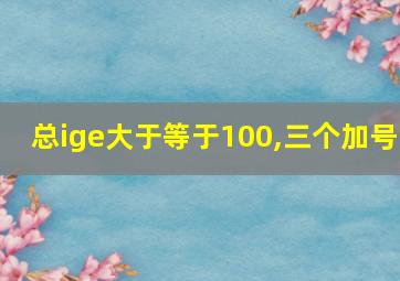 总ige大于等于100,三个加号