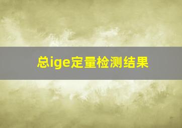 总ige定量检测结果