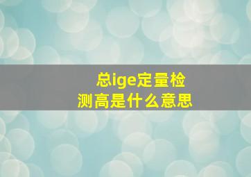 总ige定量检测高是什么意思