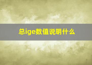 总ige数值说明什么