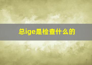 总ige是检查什么的