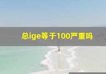 总ige等于100严重吗