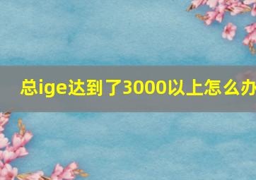 总ige达到了3000以上怎么办