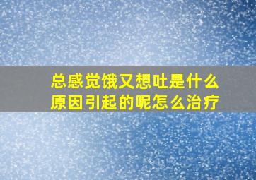 总感觉饿又想吐是什么原因引起的呢怎么治疗