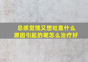 总感觉饿又想吐是什么原因引起的呢怎么治疗好