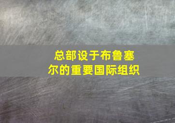 总部设于布鲁塞尔的重要国际组织