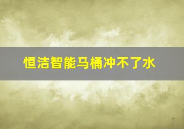 恒洁智能马桶冲不了水