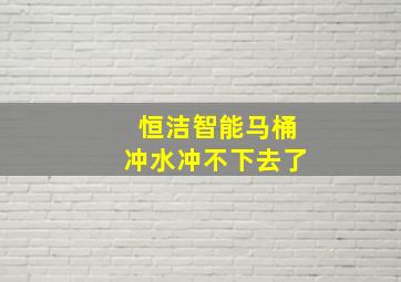 恒洁智能马桶冲水冲不下去了