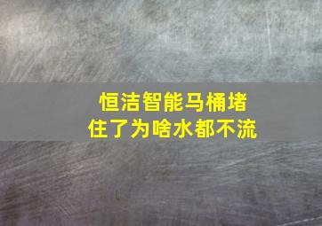 恒洁智能马桶堵住了为啥水都不流