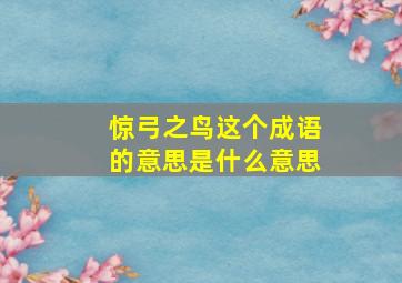 惊弓之鸟这个成语的意思是什么意思