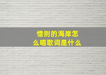 惜别的海岸怎么唱歌词是什么