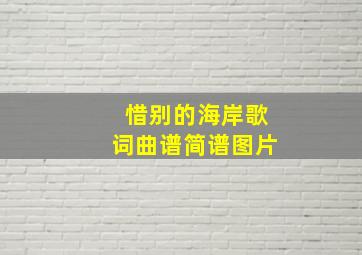 惜别的海岸歌词曲谱简谱图片