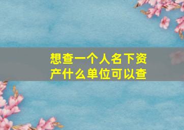 想查一个人名下资产什么单位可以查