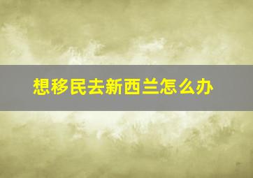 想移民去新西兰怎么办