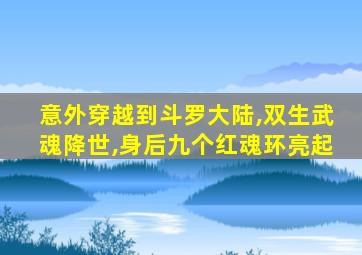 意外穿越到斗罗大陆,双生武魂降世,身后九个红魂环亮起