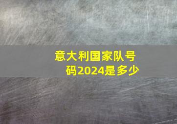 意大利国家队号码2024是多少