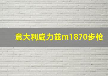 意大利威力兹m1870步枪