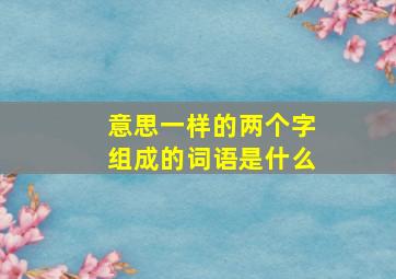 意思一样的两个字组成的词语是什么