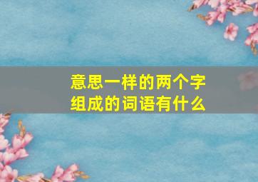 意思一样的两个字组成的词语有什么