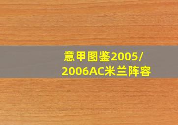 意甲图鉴2005/2006AC米兰阵容