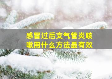 感冒过后支气管炎咳嗽用什么方法最有效