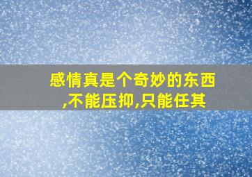 感情真是个奇妙的东西,不能压抑,只能任其