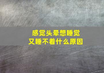 感觉头晕想睡觉又睡不着什么原因