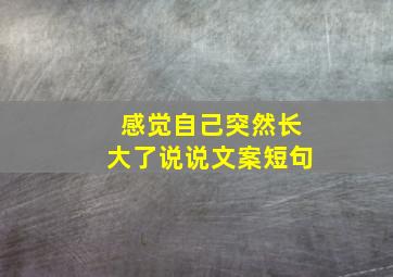 感觉自己突然长大了说说文案短句