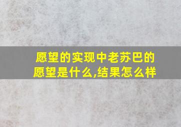 愿望的实现中老苏巴的愿望是什么,结果怎么样