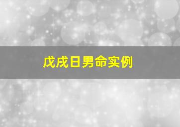 戊戌日男命实例