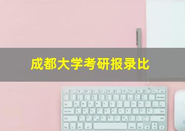 成都大学考研报录比