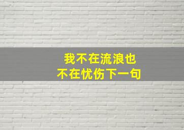 我不在流浪也不在忧伤下一句