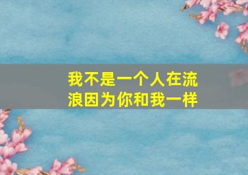 我不是一个人在流浪因为你和我一样