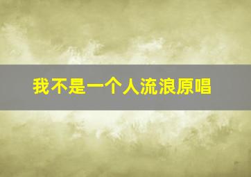 我不是一个人流浪原唱