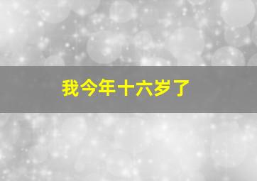 我今年十六岁了