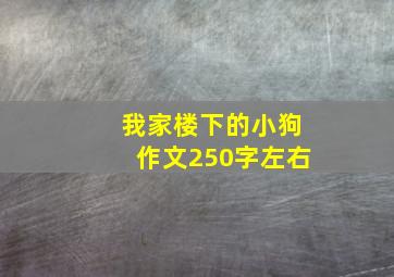 我家楼下的小狗作文250字左右