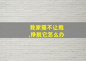 我家猫不让抱,挣脱它怎么办