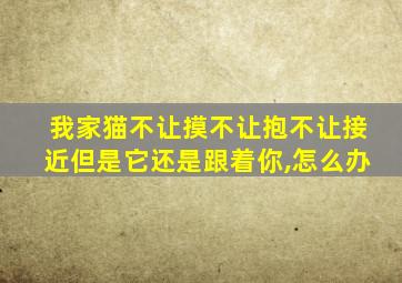 我家猫不让摸不让抱不让接近但是它还是跟着你,怎么办