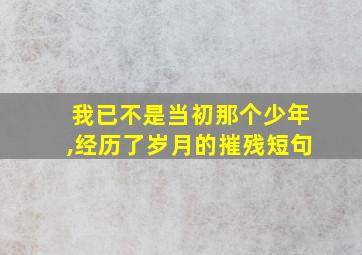 我已不是当初那个少年,经历了岁月的摧残短句