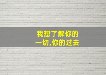 我想了解你的一切,你的过去