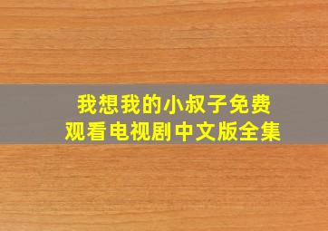 我想我的小叔子免费观看电视剧中文版全集