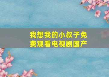 我想我的小叔子免费观看电视剧国产