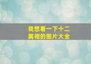 我想看一下十二属相的图片大全