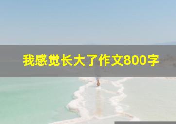 我感觉长大了作文800字