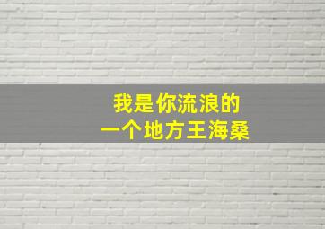 我是你流浪的一个地方王海桑