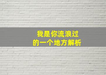 我是你流浪过的一个地方解析