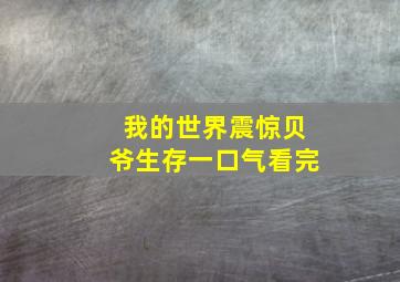 我的世界震惊贝爷生存一口气看完