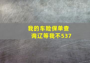 我的车险保单查询辽等我不537