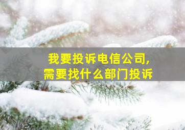 我要投诉电信公司,需要找什么部门投诉